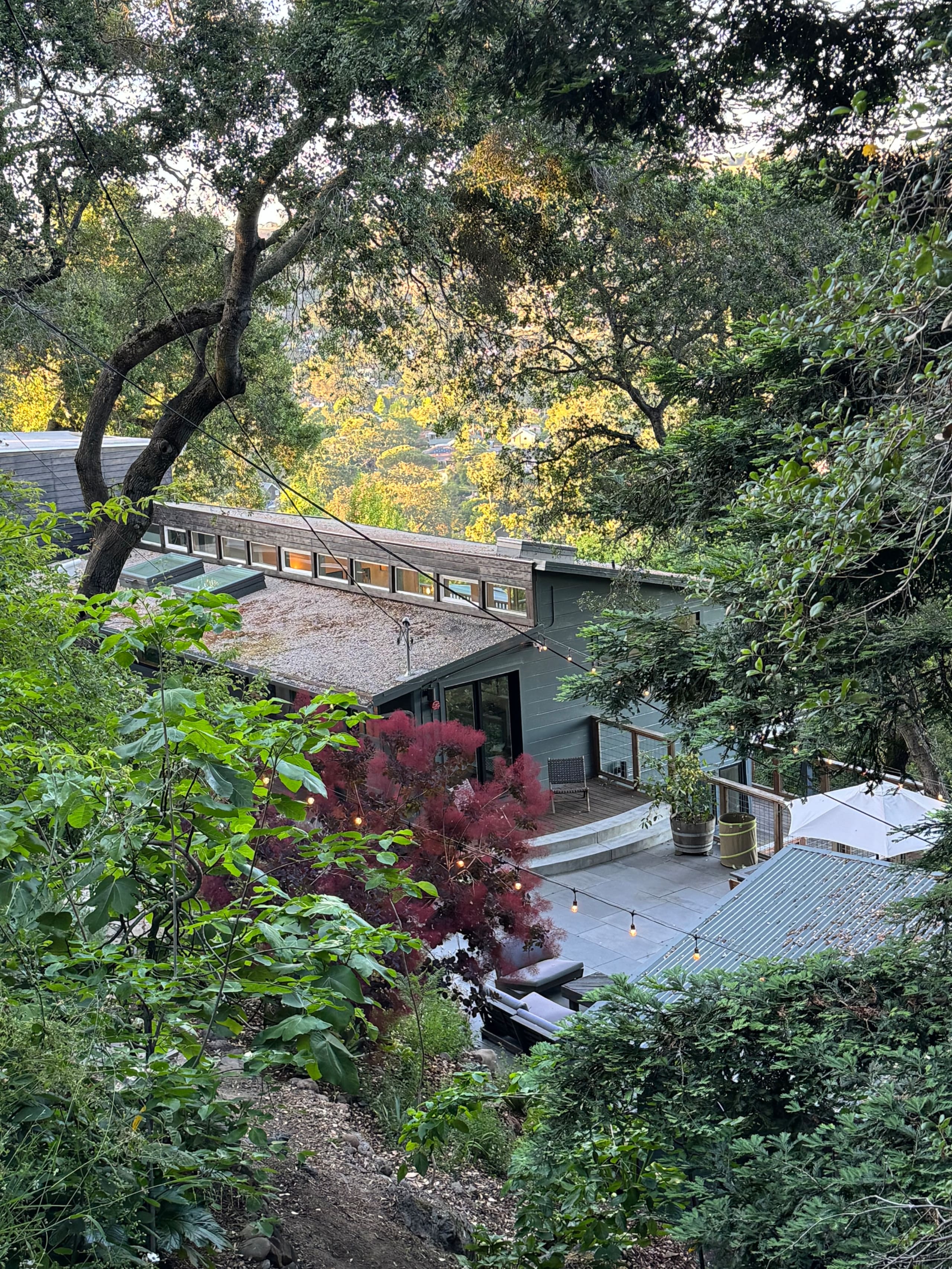Modern Oasis with Sauna & Redwood Views - Photo 42