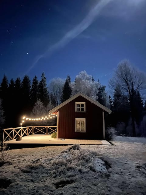 Charming cottage in a forest glade