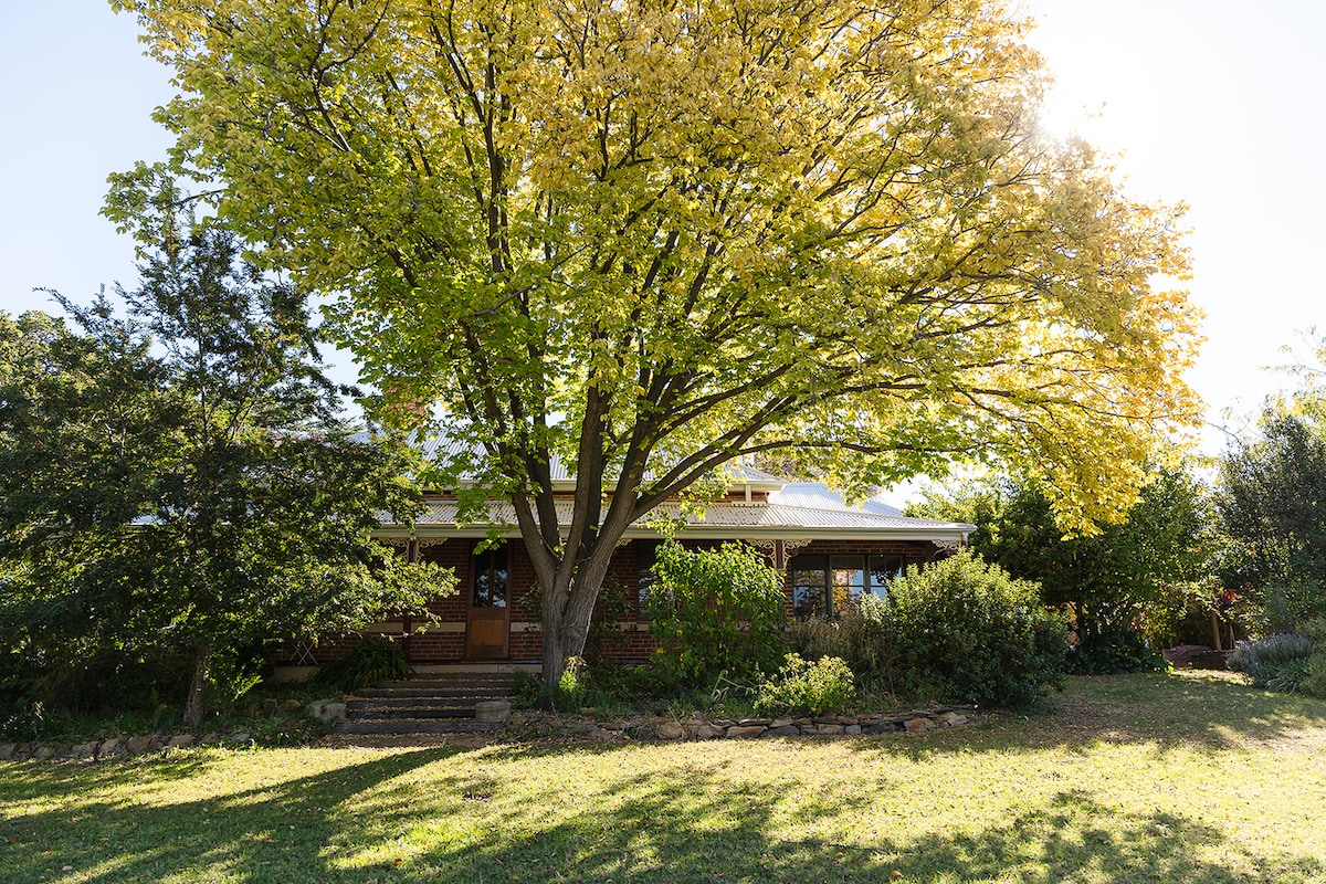 Find rental houses in Mount Rankin, New South Wales