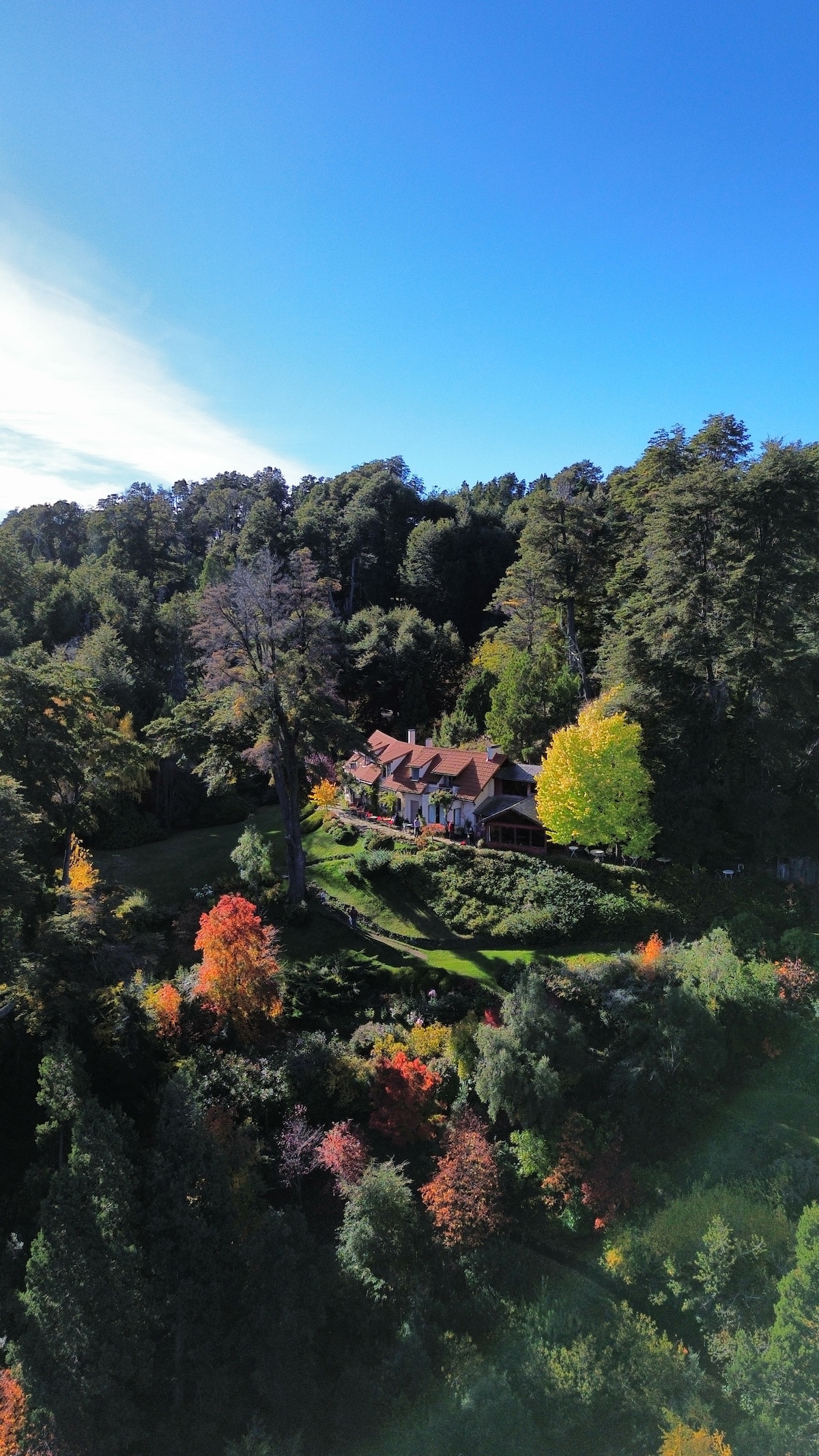 An aerial view captures the B&B nestled among vibrant autumn foliage and lush greenery. The building, surrounded by trees, showcases a charming architectural design, blending harmoniously with the natural landscape. Various shades of orange, red, and green create a colorful and inviting setting.