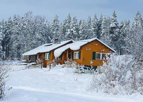 Cozy cabin near Rondane national park
