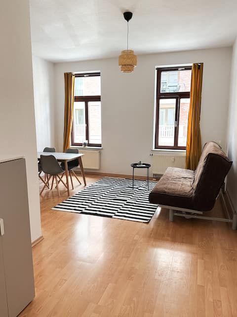 Beliebte Airbnb-Anzeige: 1-room apartment on the Karli in Zentrum Süd