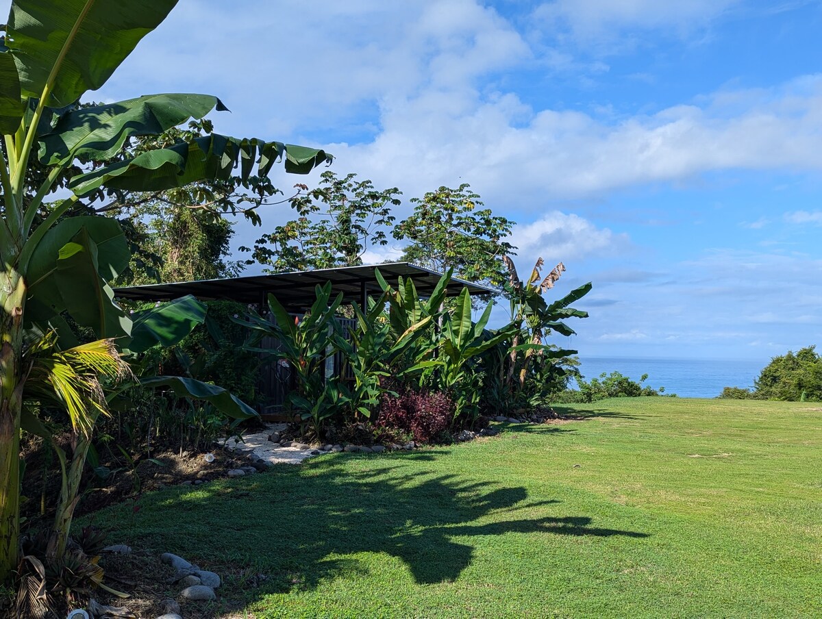 A spacious garden area is framed by lush tropical plants and palm trees. A covered outdoor seating area is visible, providing a shaded retreat. Expansive green lawns extend towards the ocean, with a clear blue sky in the background enhancing the serene atmosphere.
