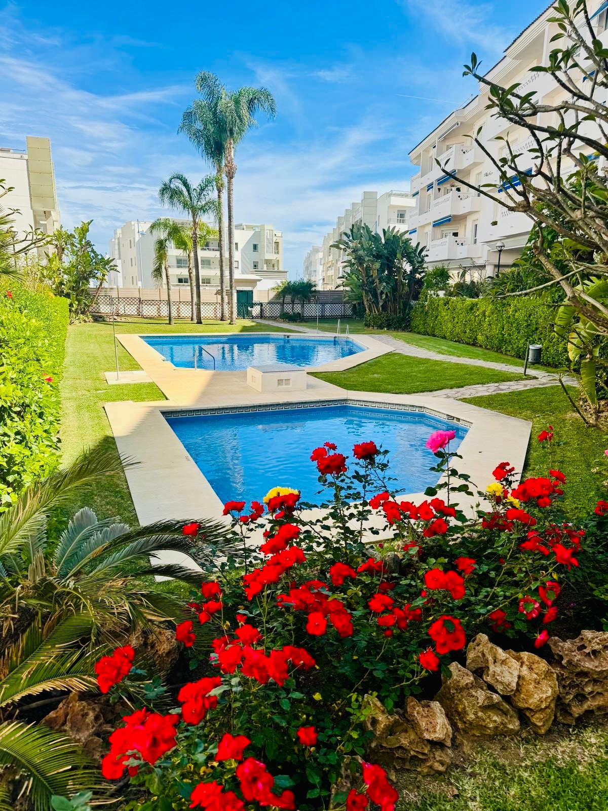 A landscaped area featuring two swimming pools surrounded by lush greenery and palm trees. Vibrant red roses bloom in the foreground, adding a touch of color to the scene. The area is enclosed by modern residential buildings.