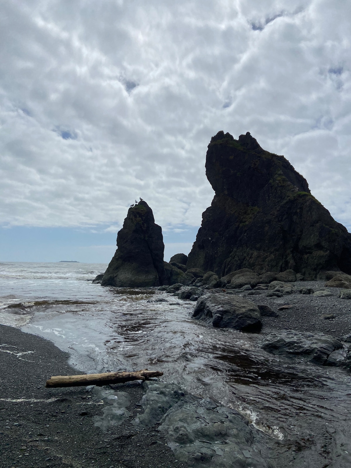 Two rugged rock formations rise from a sandy beach, contrasting against a cloudy sky. Ocean waves crash gently along the shore, creating a reflective surface. Driftwood lies on the beach, adding a natural element to the coastal scene.