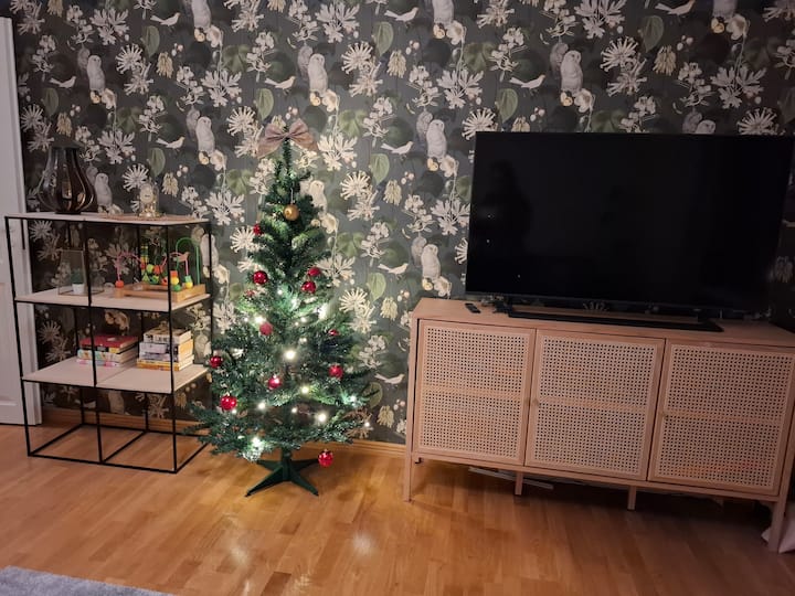 Cozy 2 Room Flat Downtown (Free Parking) - Rovaniemi