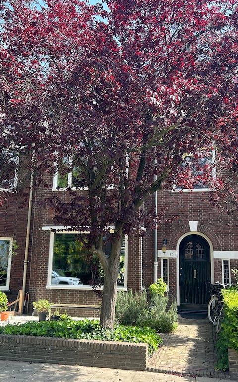 Nice and comfortable house in Central Tilburg