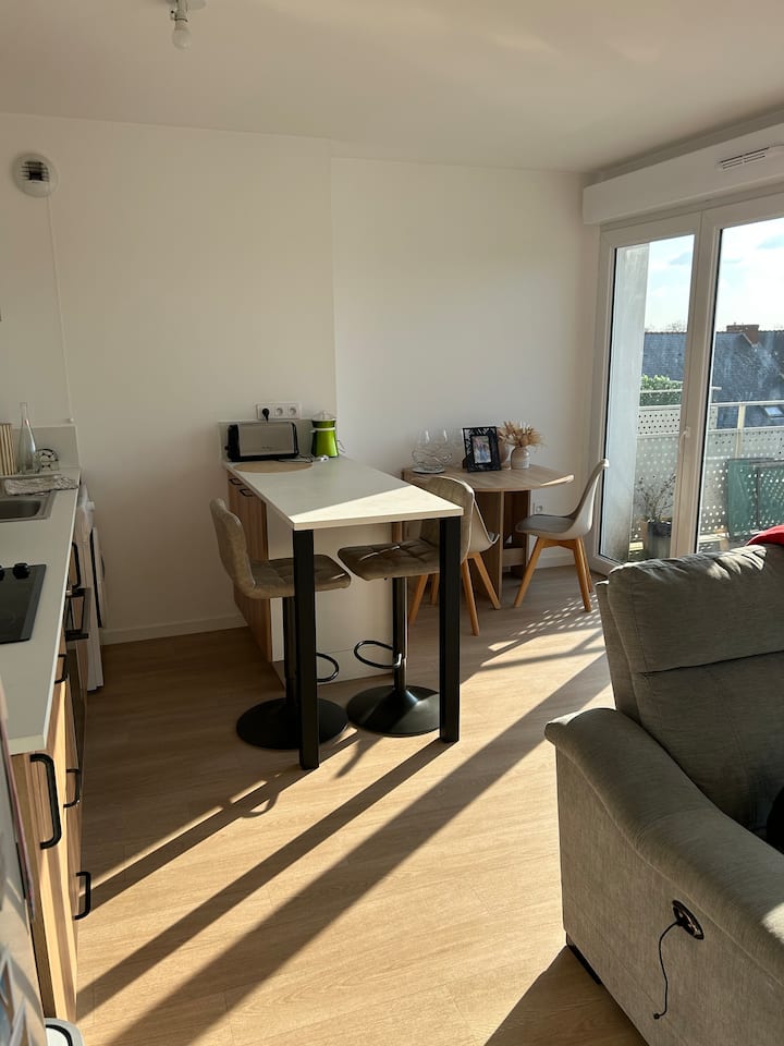 Appartement Situé En Plein Bourg - Nort-sur-Erdre
