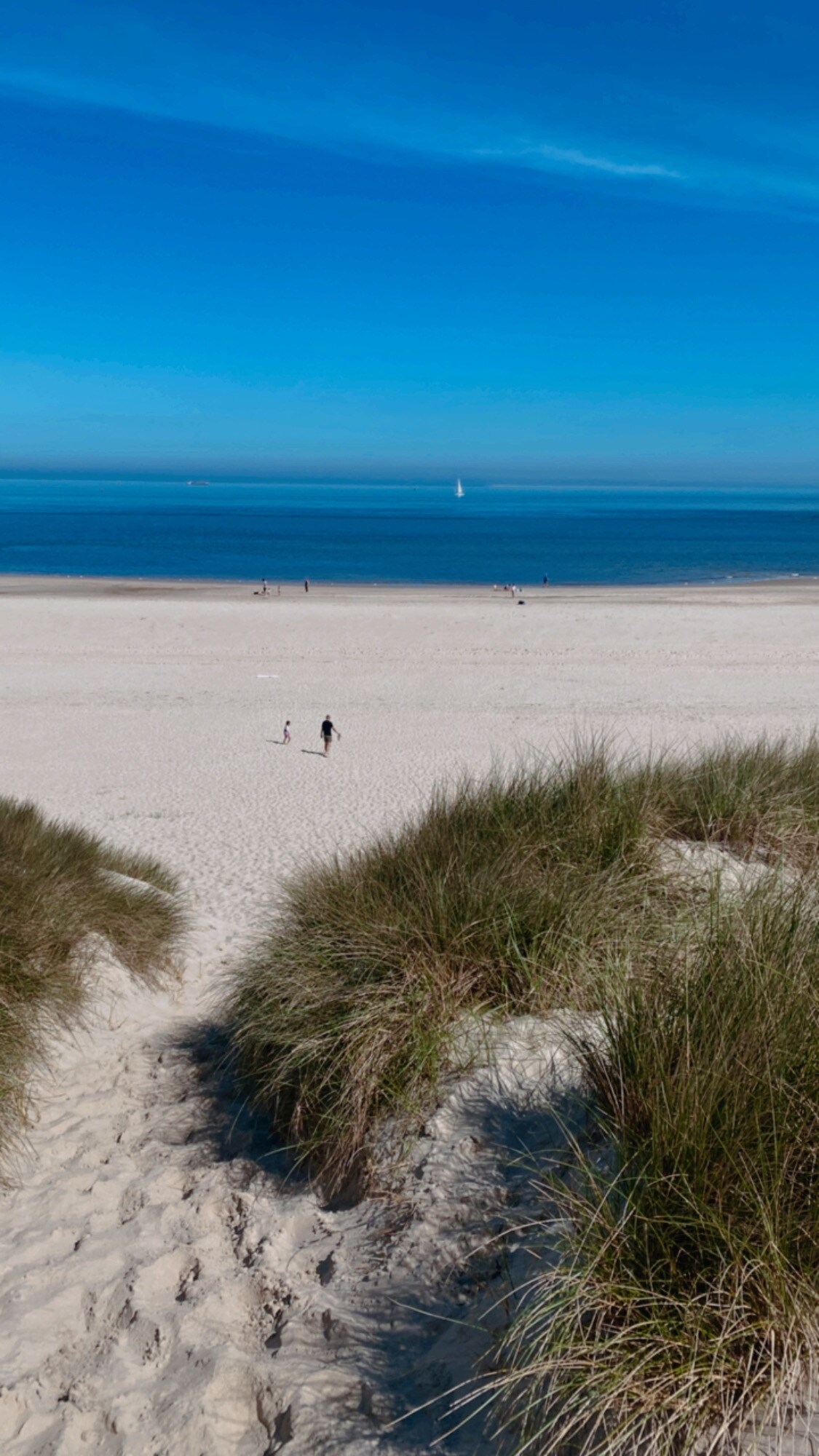 A sandy beach is viewed from a dune, with gentle waves lapping at the shore. A clear blue sky is overhead, and a few people can be seen walking along the shoreline. Lush dune grass frames the sandy path leading to the beach.