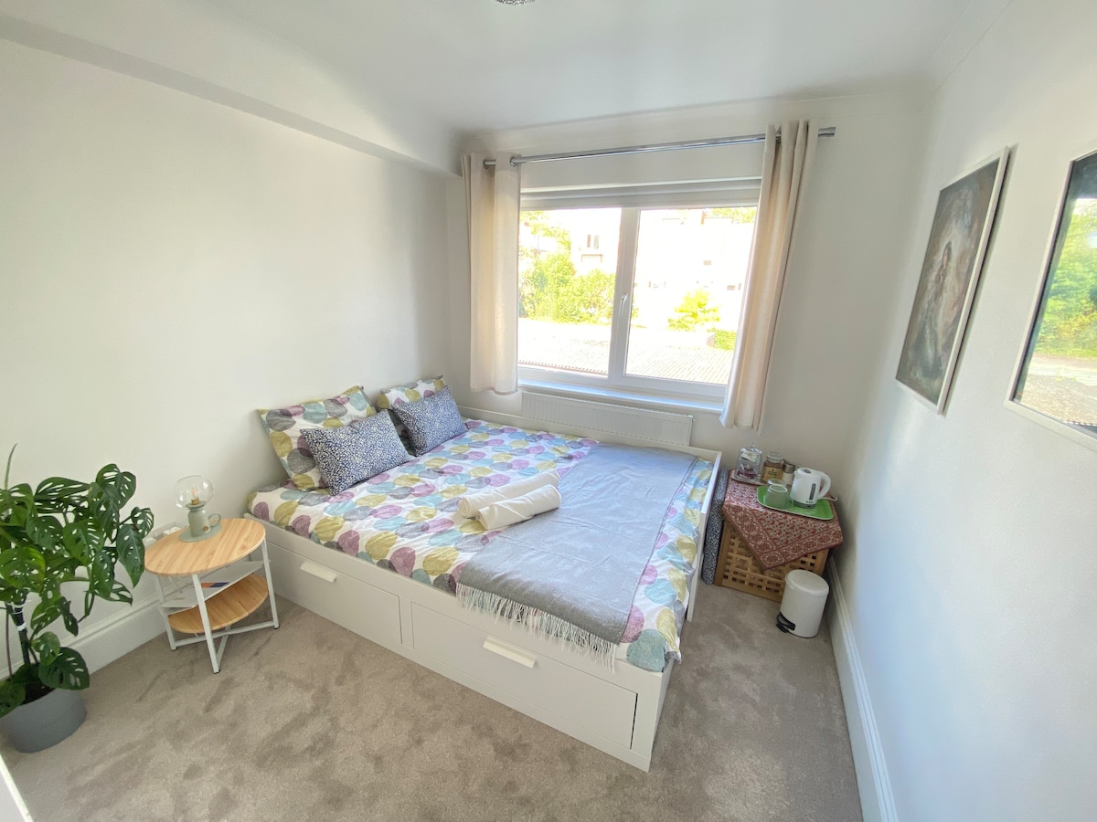 A light-filled bedroom features a spacious bed adorned with a patterned coverlet and several decorative pillows. A small bedside table holds a lamp, while a plant adds a touch of greenery. A window allows natural light to illuminate the room, complemented by soft curtains.
