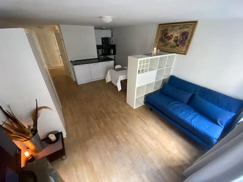 Leistungsstarkes Airbnb: Beautiful 1-bedroom apartment in the center (Rudolfplatz) in Köln