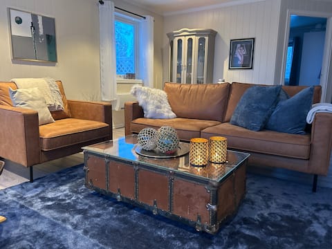 Top performing Airbnb: Midnight Sun Road in Lofoten in Hadsel