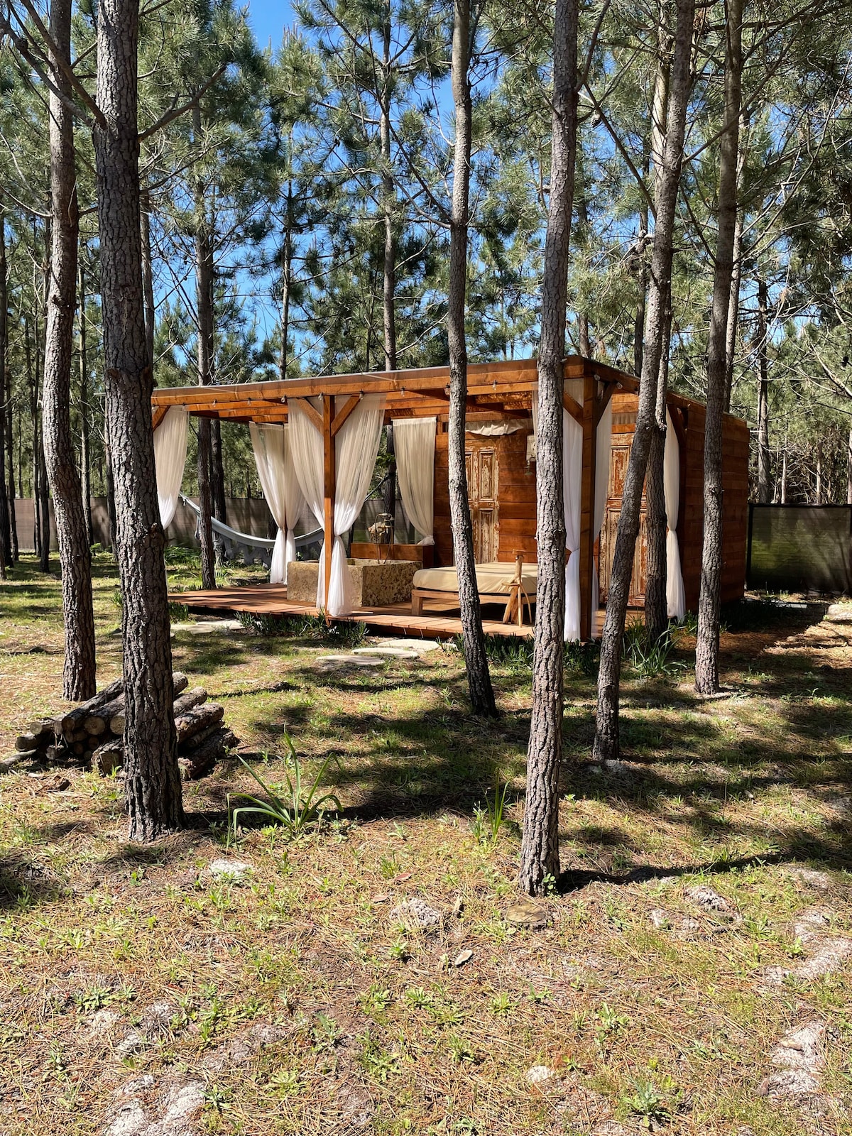 A cozy wooden house is framed by tall pine trees, featuring a spacious terrace draped with sheer curtains. Comfortable seating is visible on the terrace, inviting relaxation amidst the natural surroundings.