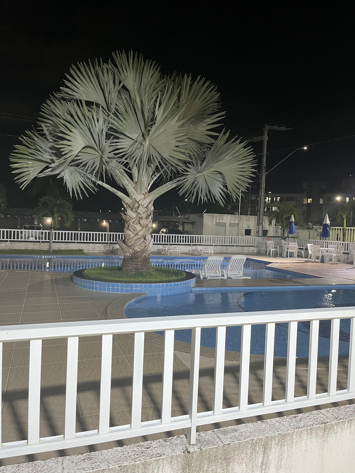 A well-maintained swimming pool is illuminated at night, surrounded by lounge chairs. A large palm tree is positioned beside the pool, adding a tropical element to the setting. The pool area is enclosed by a white railing, enhancing the serene atmosphere.