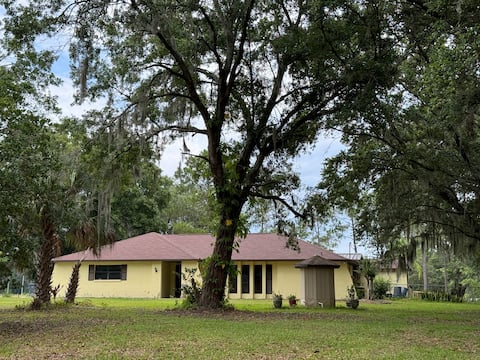 The Plant City House