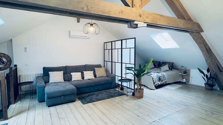 Salon composé un canapé convertible ainsi que la partie chambre au deuxième plan 