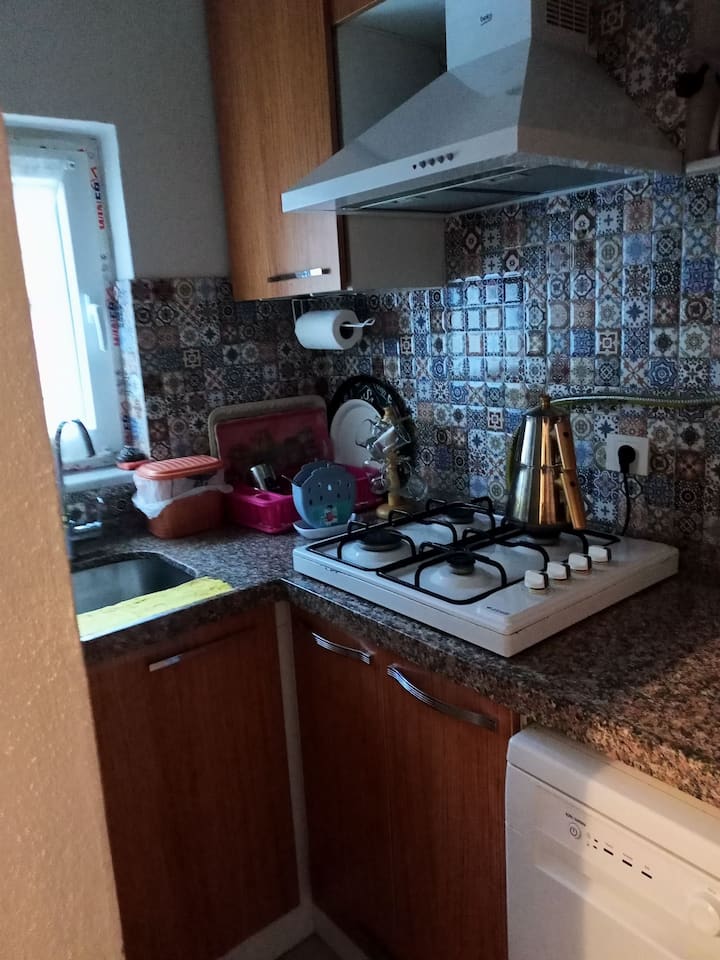 Taşdelen Turizm Ve Dinlenme Evi Antik Kent Kalbi - Mudanya