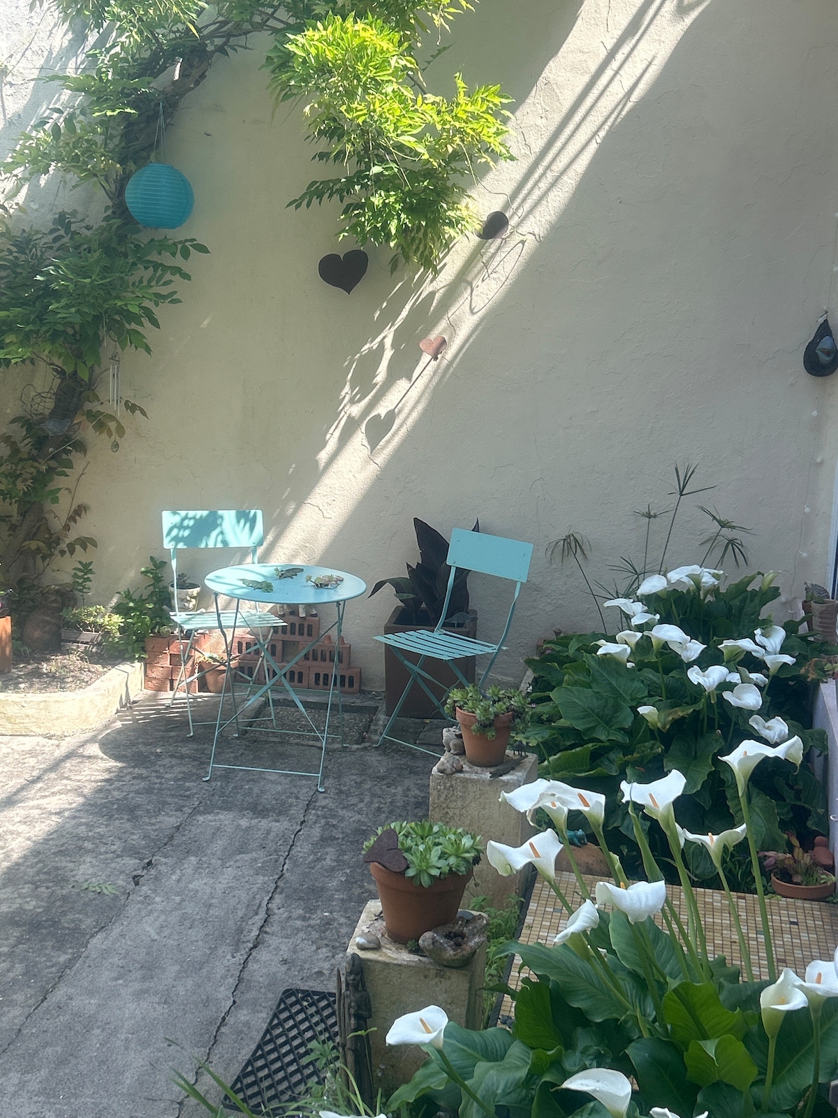 A small outdoor area is visible, featuring two light blue chairs and a matching table positioned against a white wall. Lush greenery and white flowers in pots surround the seating, while soft shadows are cast by the sunlight filtering through the plants.