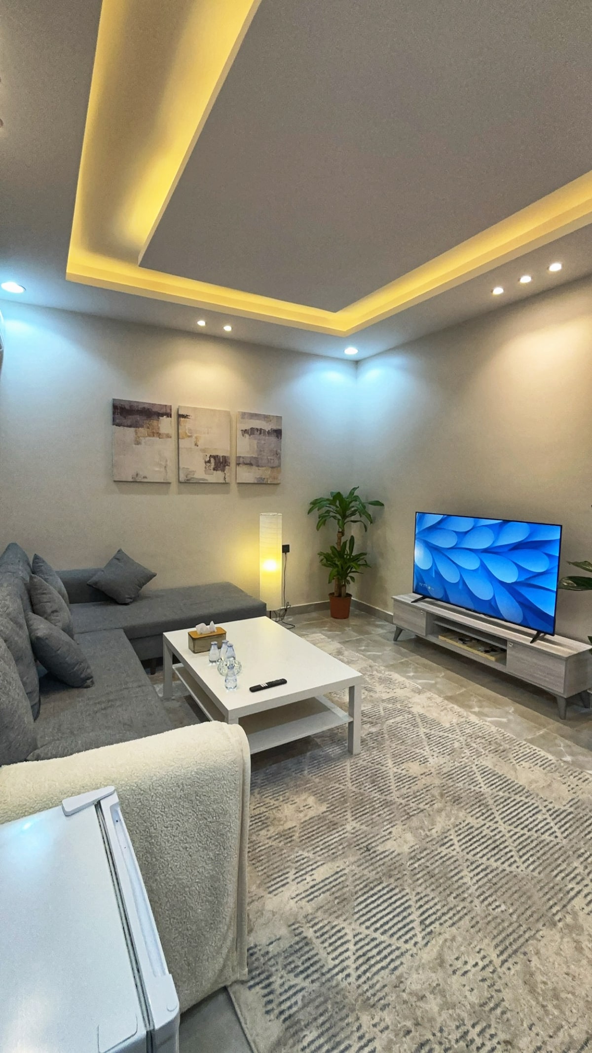 A modern living area is highlighted by a comfortable sectional sofa and a coffee table. A large smart TV is positioned against the wall, accompanied by two framed artworks. Soft lighting and a potted plant enhance the ambiance, while a textured rug covers the floor.