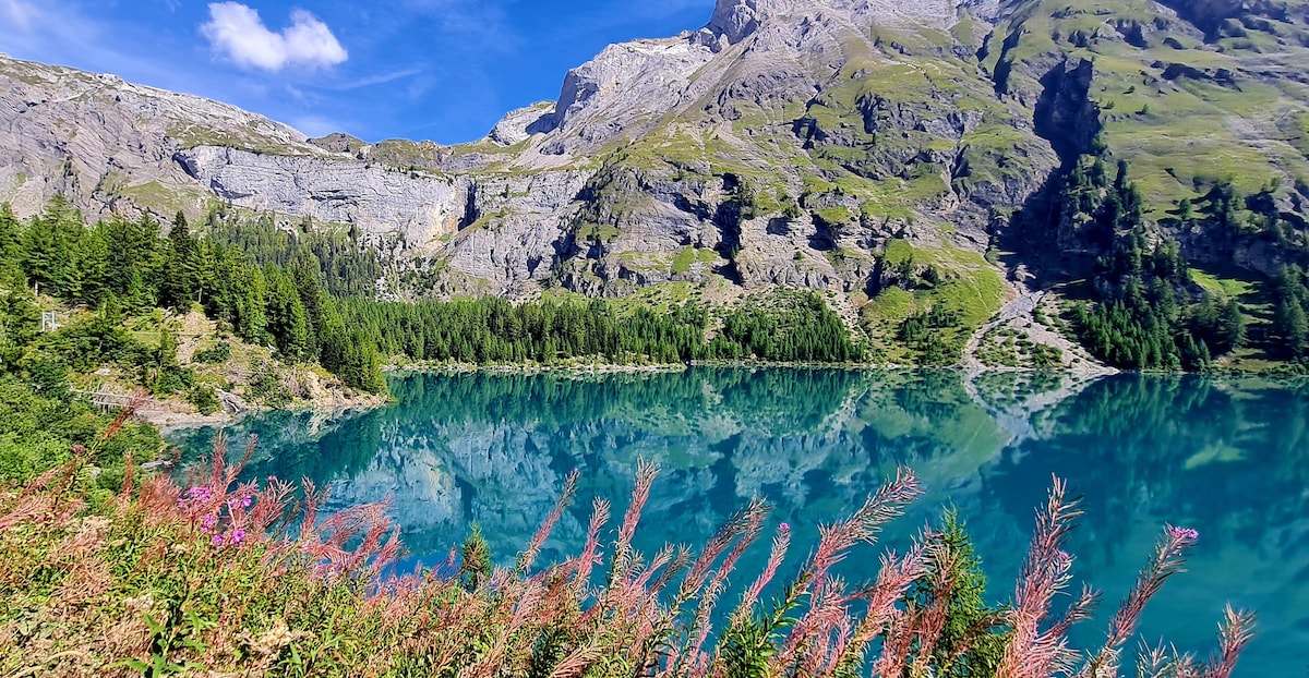 A serene lake is surrounded by rugged mountain peaks and lush greenery. The water reflects the clear blue sky and the vibrant colors of the flora at the edge, creating a harmonious natural landscape.