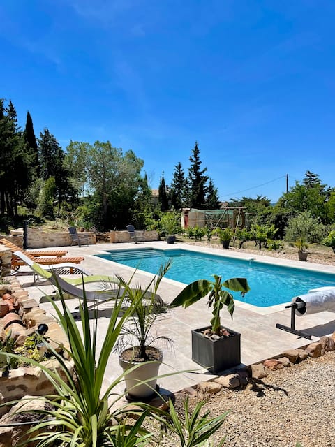 At the edge of the pine forest, in the heart of the Corbières.