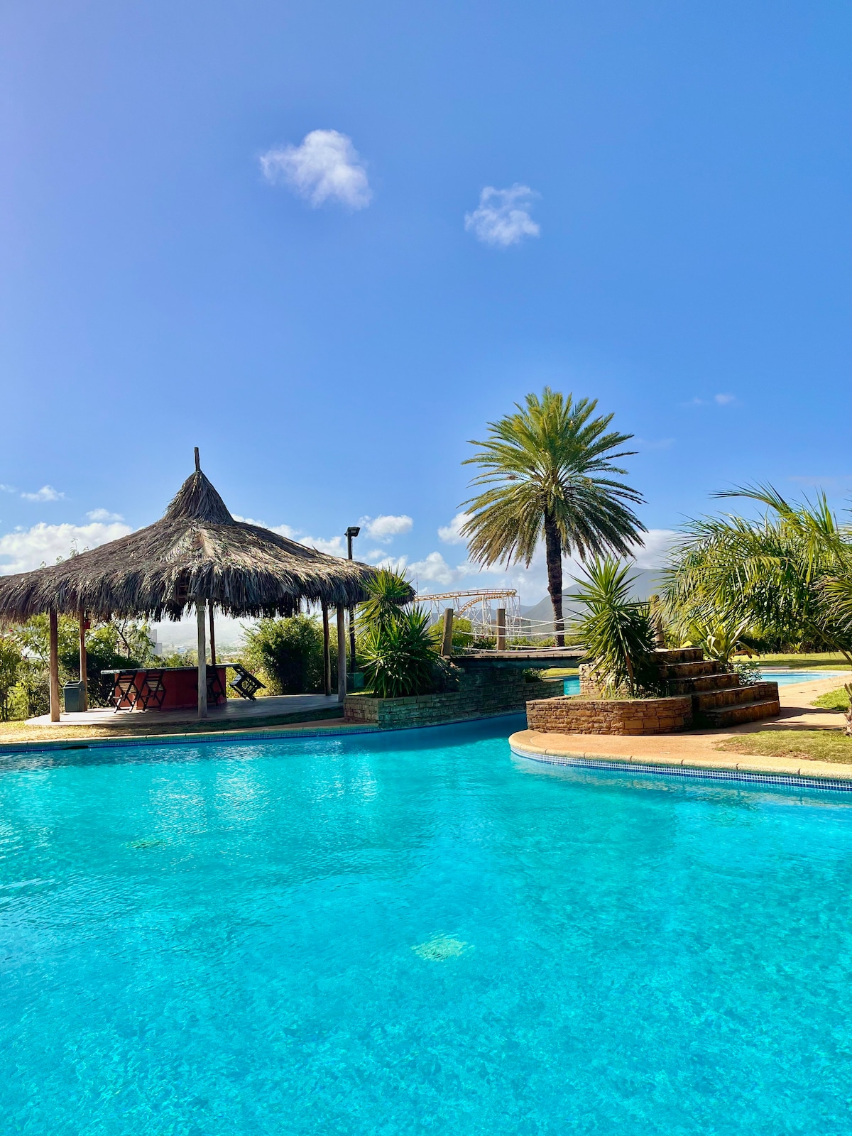 A large pool reflects the clear blue sky, surrounded by lush greenery and a palm tree. A thatched gazebo offers shaded seating nearby, enhancing the outdoor setting. The tranquil water invites relaxation, while steps lead to a landscaped area in the background.