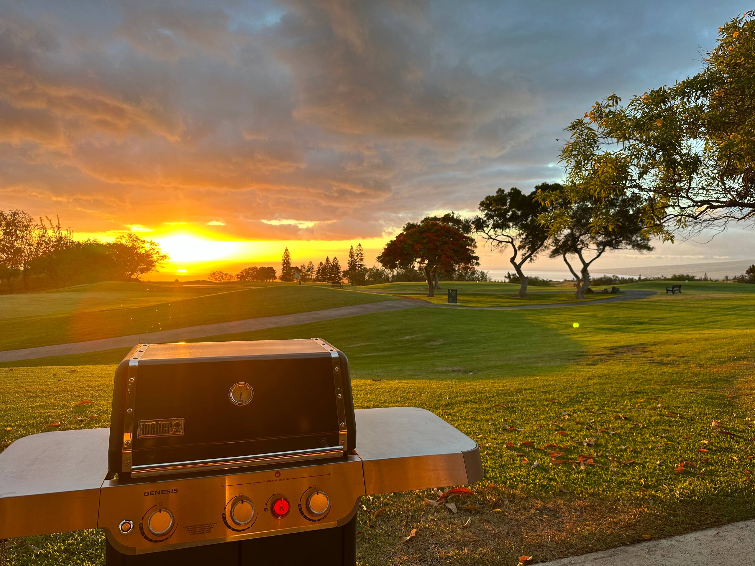 Condo in Waikoloa Village · ★4.93 · 1 bedroom · 4 beds · 1 bath - Photo 54
