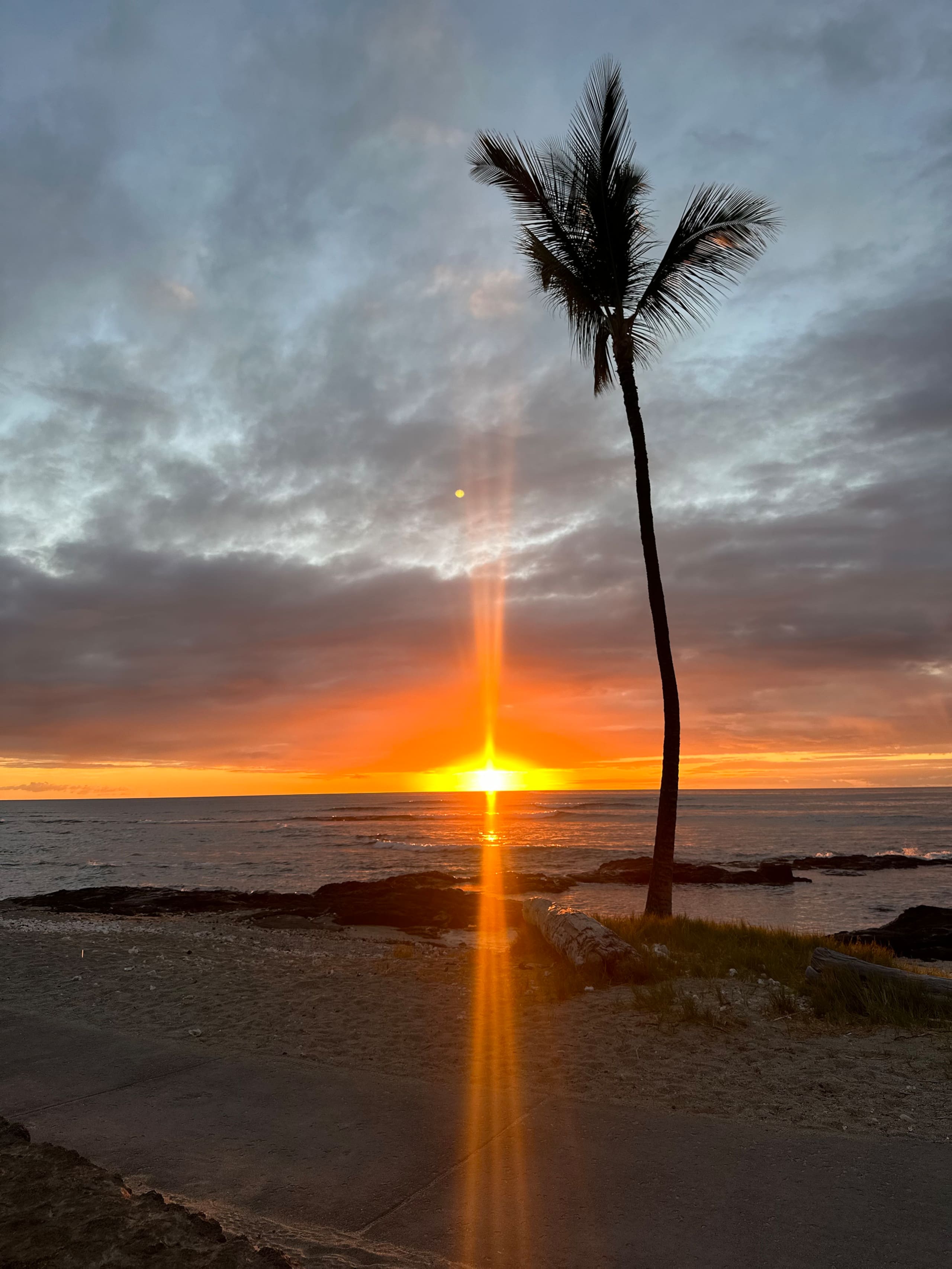 Condo in Waikoloa Village · ★4.93 · 1 bedroom · 4 beds · 1 bath - Photo 89