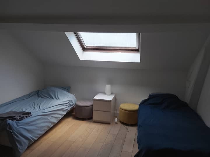 Chambre Dans Appartement - Fontenay-aux-Roses