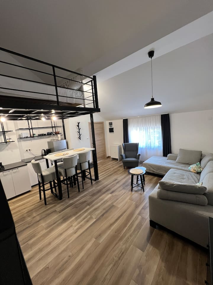 Apartment >Ginko 1<