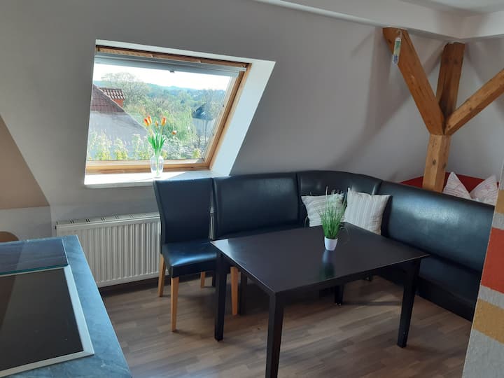 Pension Ines - Zwickau