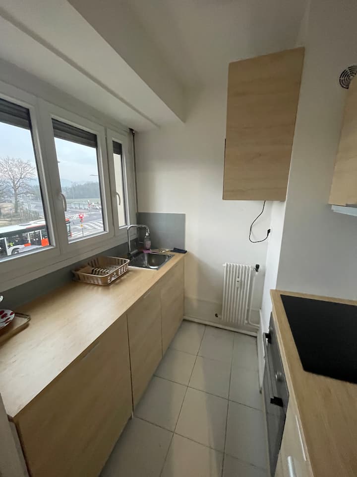Renewed Apartment By The Border - Ferney-Voltaire