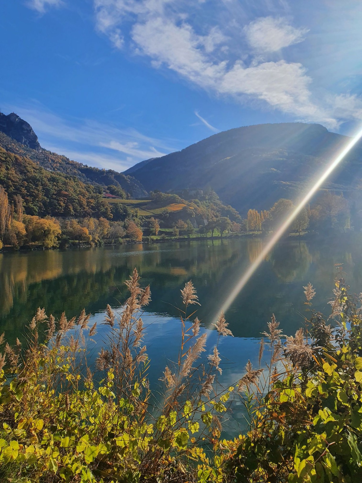 A serene lakeside scene captures calm waters reflecting the surrounding mountains and colorful autumn foliage. Tall grasses and plants frame the foreground, while the sun's rays create a gentle sparkle on the water's surface, enhancing the tranquility of the landscape.