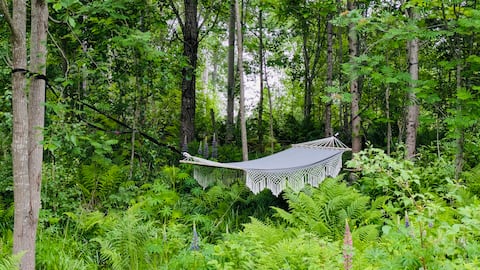 Opened for the summer: Nature paradise by the lake