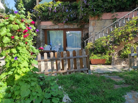 Suite at Casa Basilia