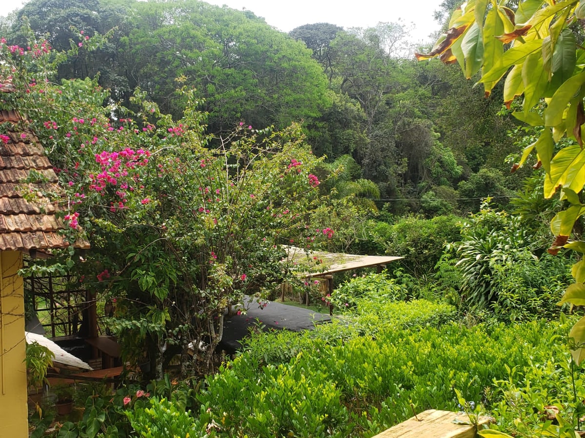 A lush garden area is filled with vibrant flowering plants, including pink bougainvillea, surrounded by dense greenery. Wooden structures are partially visible among the foliage, contributing to the serene and natural atmosphere.