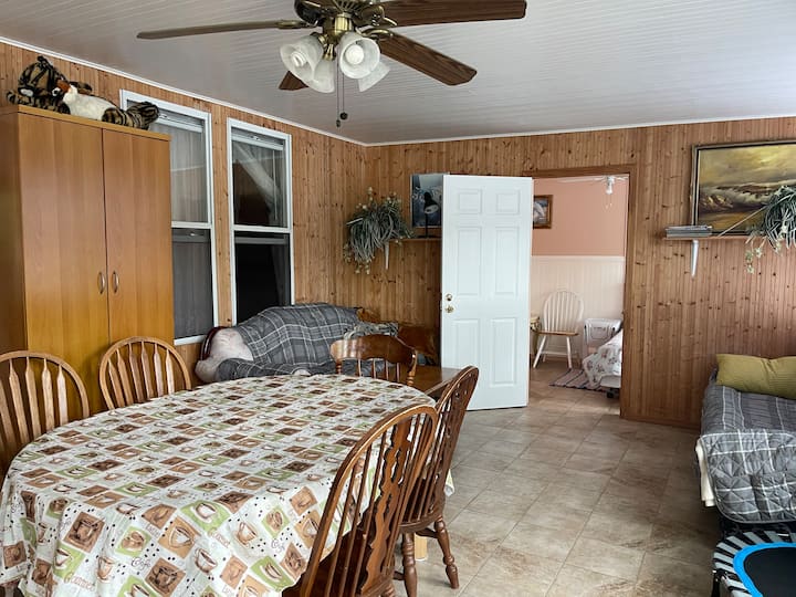 Country Getaway: Lower House W/lake Access - Deposit, NY
