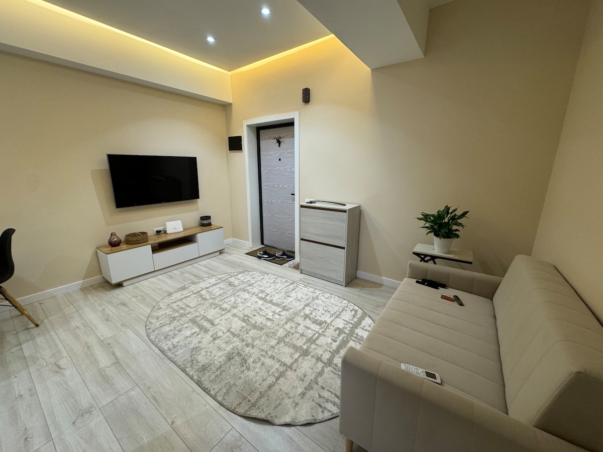 A modern living area is showcased with a light-colored rug centered on a light wooden floor. A minimalist sofa sits against the wall, opposite a wall-mounted television. Natural light enhances the soft tones of the walls, with a green plant adding a touch of freshness.