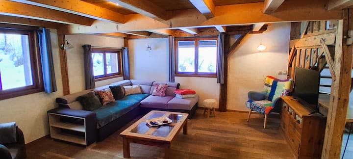 Grand Chalet 10 Pers Au Calme Au Pied Des Pistes. - Bernex