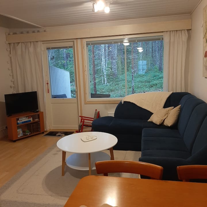 Paritalon Asunto Saunalla. - Ikaalinen
