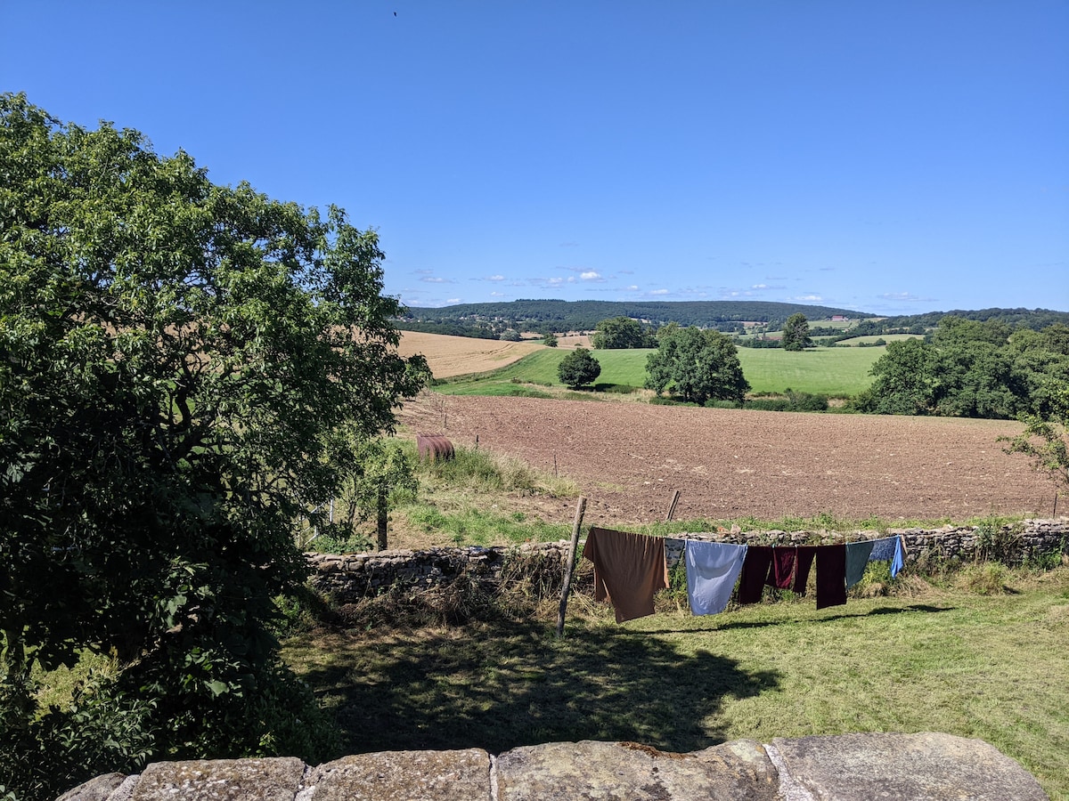 A scenic landscape is presented, showcasing rolling fields under a clear blue sky. A stone wall borders the foreground, with clothes drying on a line. Lush trees provide shade, while a variety of green hues from the distant hills enhances the natural setting.