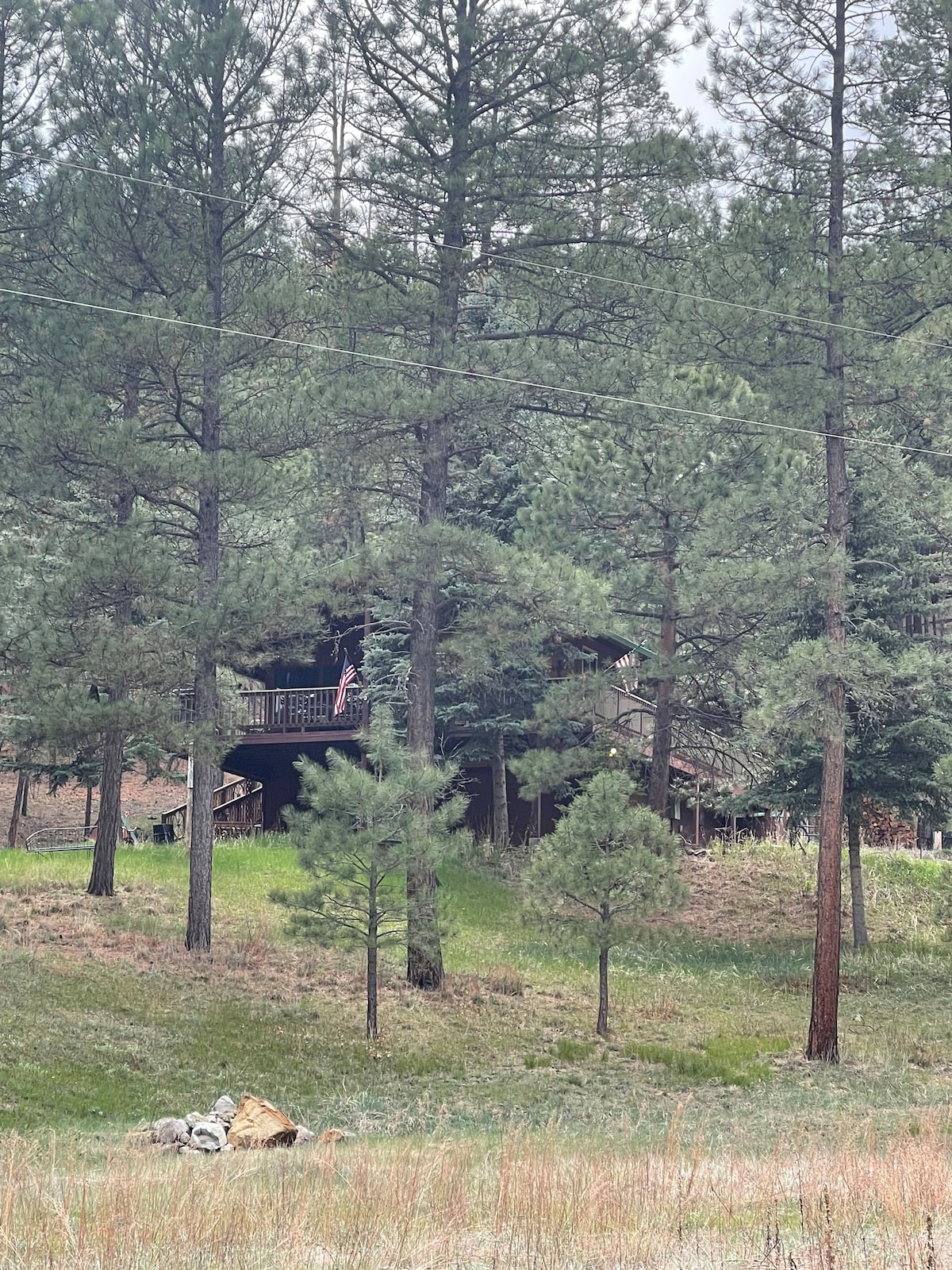 A cabin is nestled among tall pine trees, surrounded by a grassy area. The structure features a balcony, and a pathway leads to the entrance. Natural scenery provides a serene atmosphere, offering a sense of privacy within the forest.