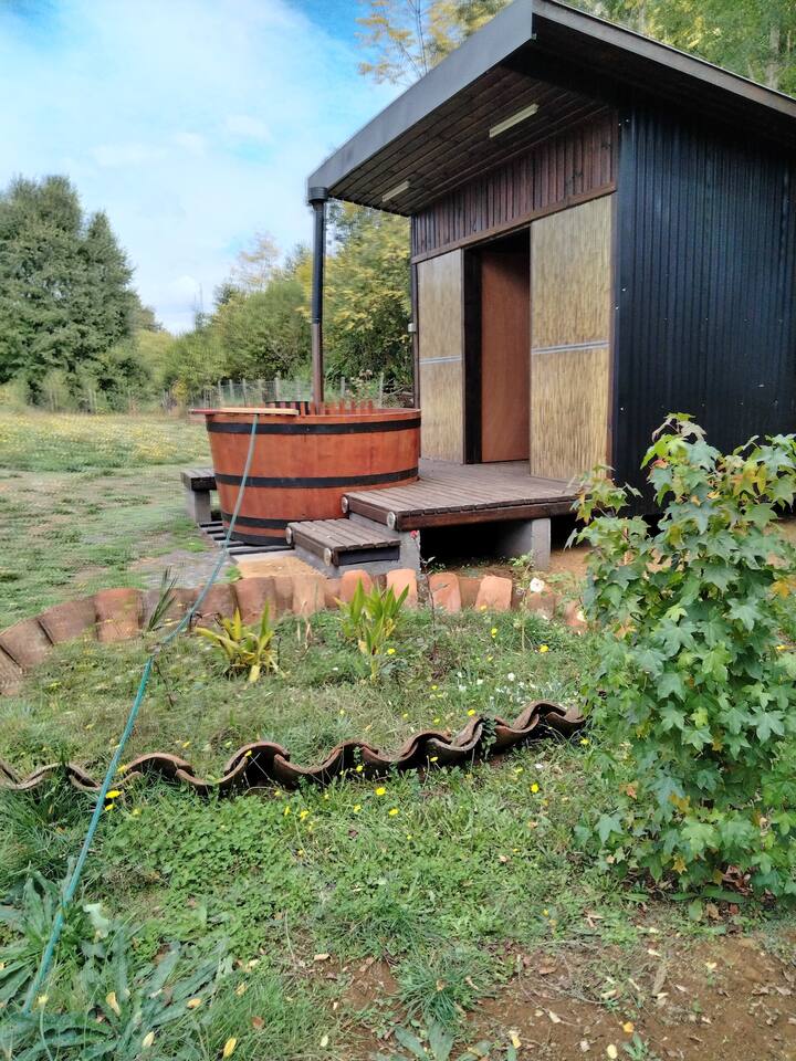 Cabin with hot jars
