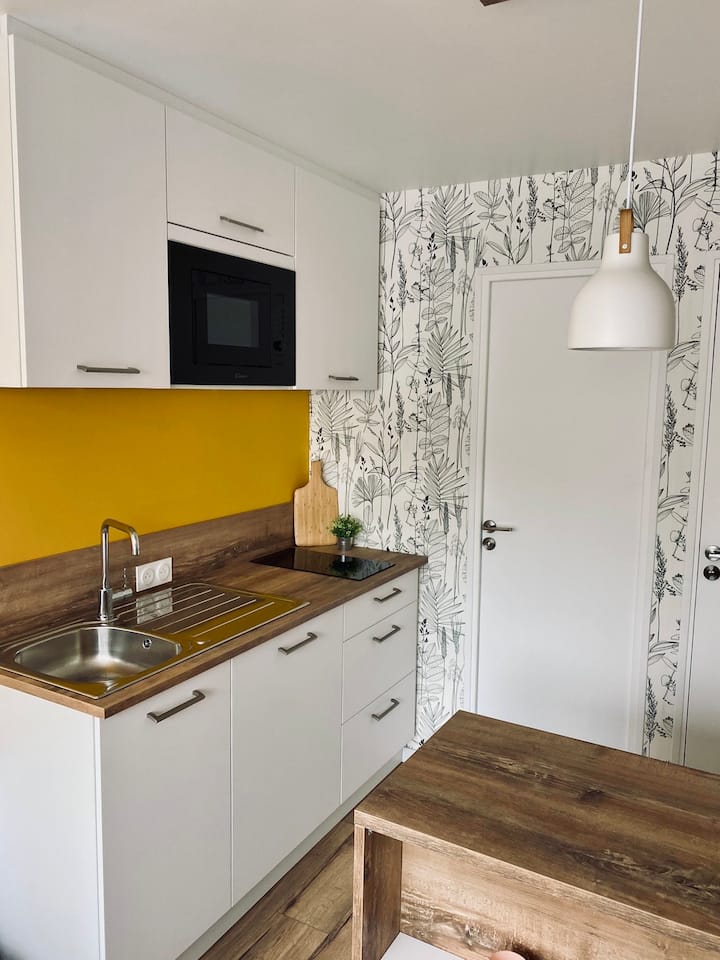 Studio Avec Terrasse • Suède - La Roche-sur-Yon