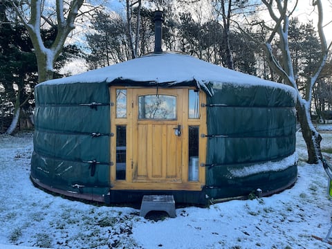 Special stay in Tiny Forrest and bulb fields