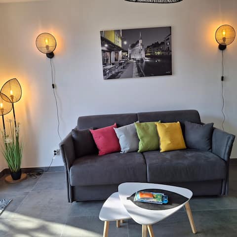 Airbnb performant: 1-bedroom apartment near the lake à Sevrier