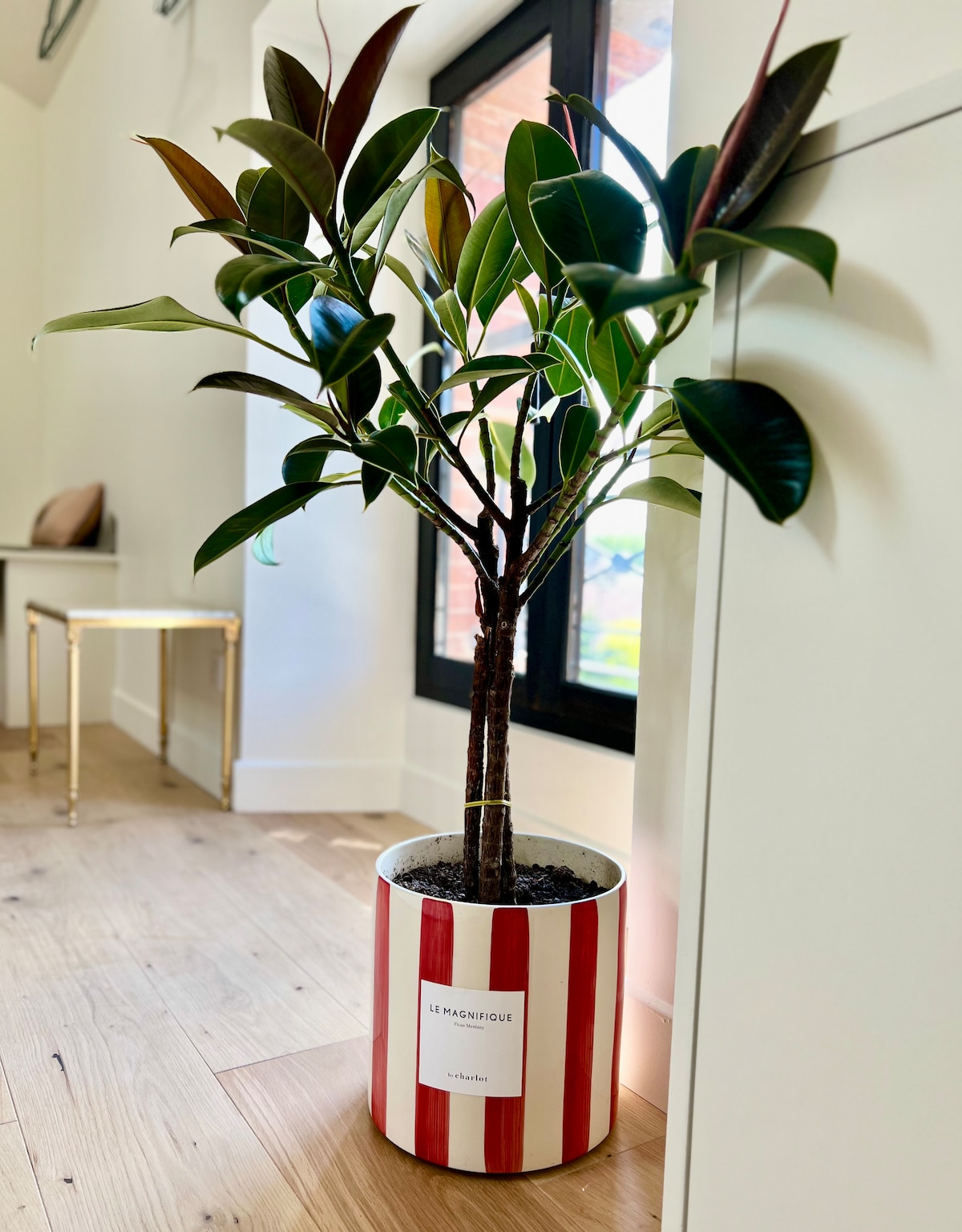 Airbnb con migliori performance: Charming air-conditioned suite in the city center a Épernay