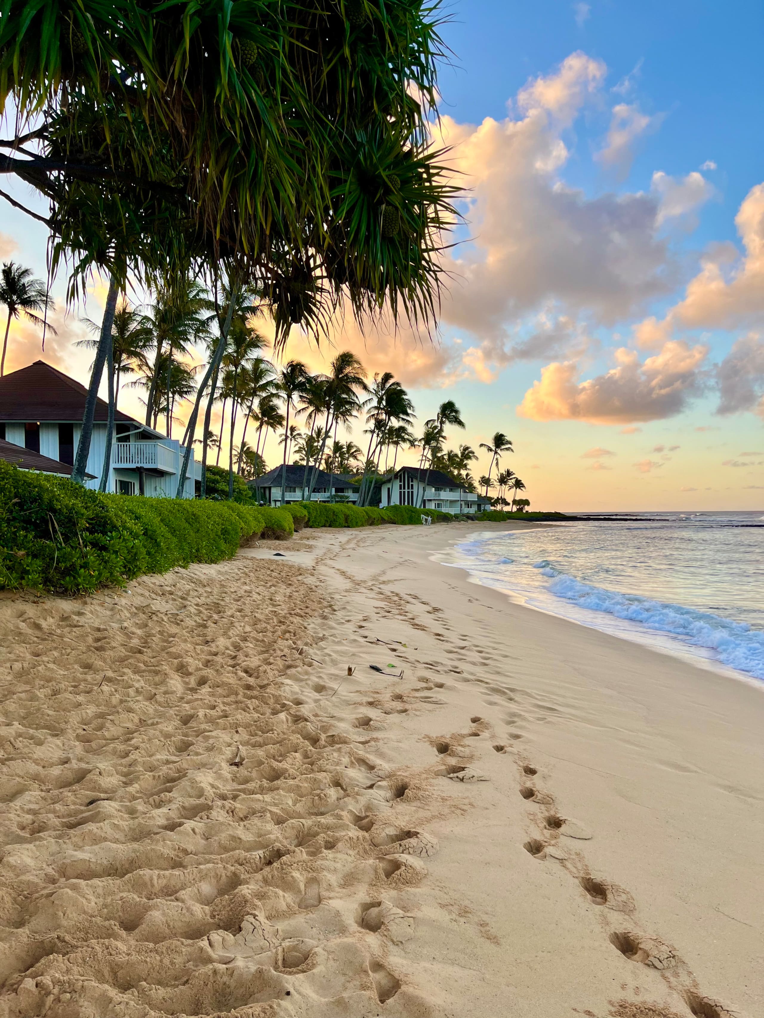 Condo in Koloa · ★4.9 · 1 bedroom · 2 beds · 1 private bath - Image 47