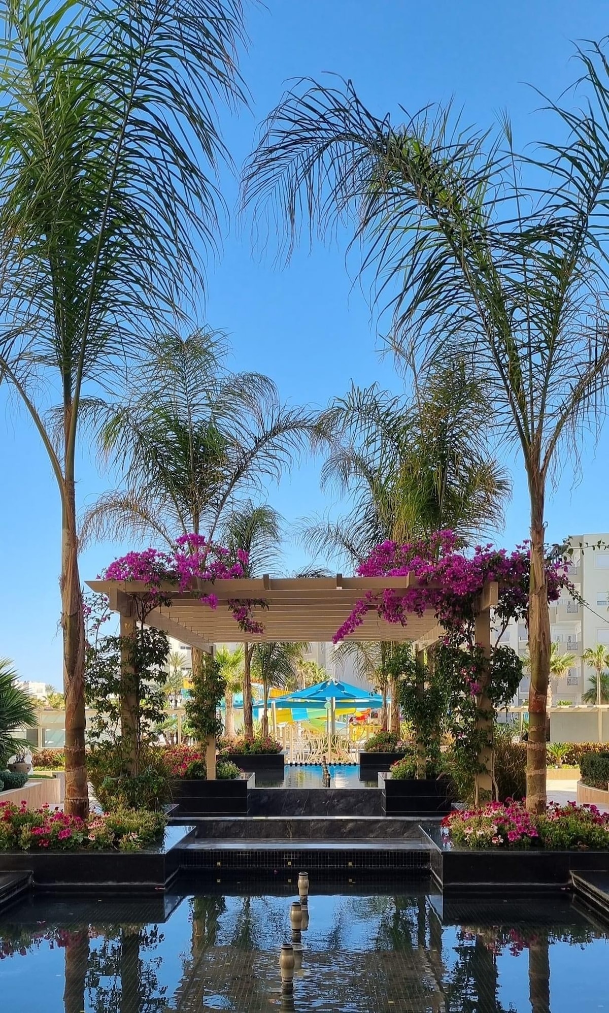 A serene outdoor space is framed by tall palm trees and vibrant bougainvillea, providing shade over a small water feature. Colorful loungers are visible in the background, set against a clear blue sky, inviting relaxation and enjoyment.