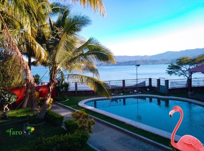 A serene view of a pool surrounded by lush palm trees. The clear water reflects the sky, while a patio area offers relaxing outdoor space. In the distance, mountains create a scenic backdrop, and a vibrant flamingo is placed near the edge of the pool.